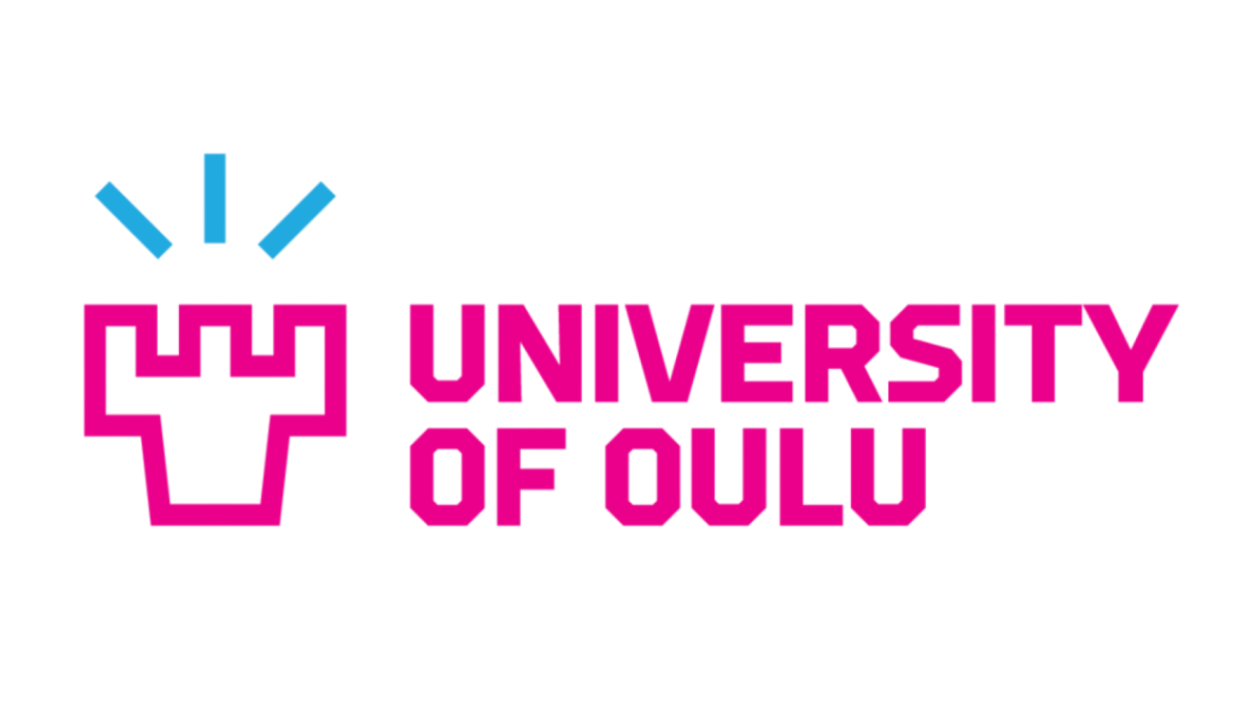 Partner University Logo 8