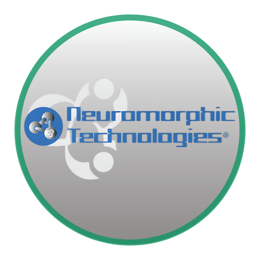 Neuromorphic Technologies NT